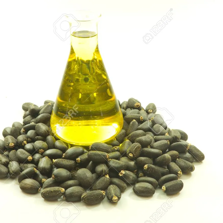 Top premium Jatropha Oil for wholesale/Refined Jatropha Oil