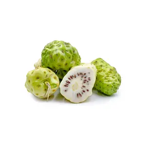 Venda quente Frutas Noni Frescas Da Fabricação Indiana