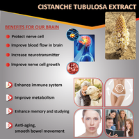 Extrait de Maca anti-fatigue boisson énergisante pour hommes oemodm