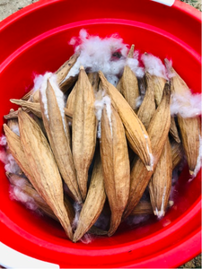 FIBRA DE CAPÓK NATURAL DE VIETNAM/ FIBRA DE CAPÓK VIETNAMITA para ALMOHADAS// SRA. LAURA +84 91 850 9071 - Product Image 2