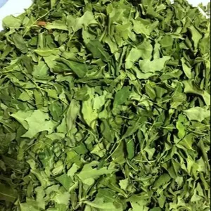 Hot Sale 2022 Premium Quality Good for Health MORINGA DRIED LEAF/MORINGA OLEIFERA with Competitive Price |TERESA +84971482716