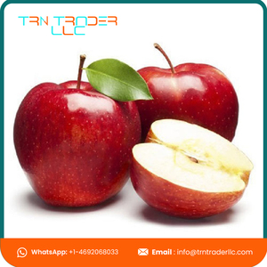 Pommes vertes et rouges fraîches, naturelles, sucrées, biologiques, de qualité export, satisfaçon garantie du client, prix de gros - Product Image 3