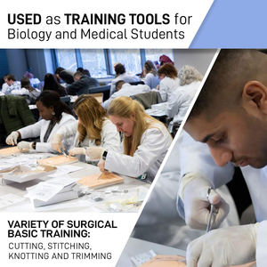 Almohadilla de silicona de simulación de piel reutilizable de 4ª generación, Kit completo de práctica de sutura para estudiantes de medicina veterinaria, heridas precortadas, manual - Product Image 6