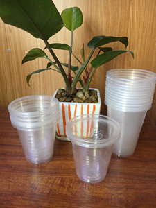 Lowest price Free samples Transparent Clear PP 7/9/12/16/20oz Disposable <b>Drinking</b> <b>Cups</b> with Lid Customizable for Travel Camping - Product Image 1
