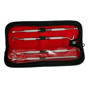 ชุดอุปกรณ์ทำความสะอาดฟันสแตนเลสสีเงิน 4 ชิ้น ชุดขูดหินปูน ดูแลช่องปาก 2026 ขายดีที่สุด - Product Image 1