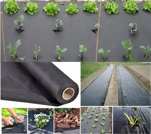 Folha para controle de ervas daninhas, controle de ervas daninhas e cama levantada i jardim lã PP-50-150g