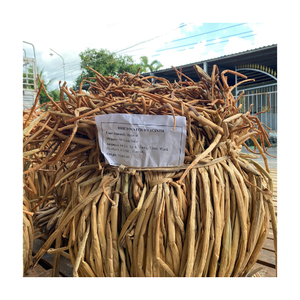 วัสดุผักตบชวาสำหรับสานผลิตภัณฑ์เฟอร์นิเจอร์ / ช่อผักตบชวาแห้ง รากอีคิออเนีย ครัสซิเพส - Product Image 1
