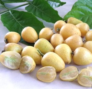 ราคาของผลไม้แห้งเวียดนาม คลอเซน่า ลันซิอุม - กอรากอตตา คาริเวปิลี - Product Image 1