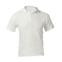 T-shirts ajustés 100 % coton pour hommes, design uni, grandes tailles, respirants, écologiques, vente chaude, fournisseur en Inde