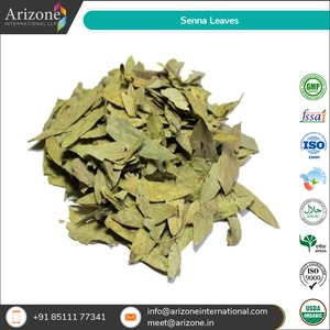 Exportación certificado por USDA, venta de hojas de Senna pura orgánica a precio a granel - Product Image 6