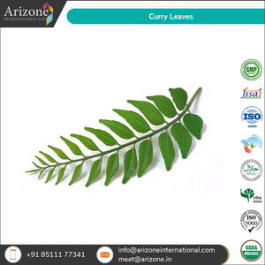 99% Độ Tinh Khiết Bán Chạy Nhất Thực Phẩm Lớp Nâu Màu Cà Ri Tự Nhiên Lá Để Bán - Product Image 4