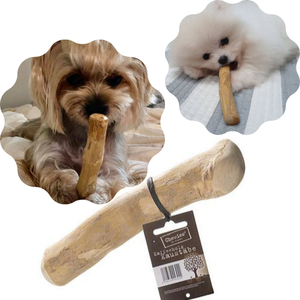 100% juguetes para masticar perros de madera de café puro/Venta caliente palo para masticar perros de madera de alta calidad hecho 100% árbol de café/Shyn Tran - Product Image 1
