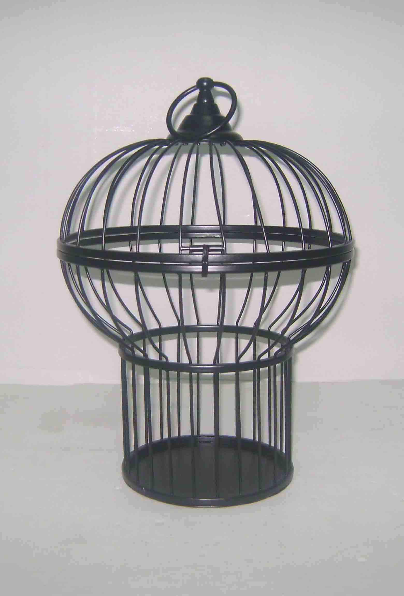 แสดงภาพ