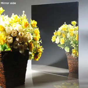 Miroir bidirectionnel en verre et acrylique, 2 faces, 4mm, prix M2