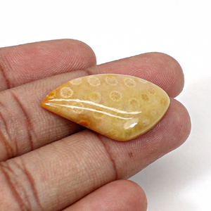 ปะการังธรรมชาติ31X18มม. Cabochon แฟนซี3.73 Gms อัญมณีหลวมสำหรับทำเครื่องประดับ - Product Image 1