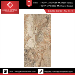 Dalle de porcelaine à motifs personnalisés 800x1600mm Breccia Carreaux classiques polis 5mm d'épaisseur Salle de bain Maison Revêtement de sol Couleurs vives - Product Image 4