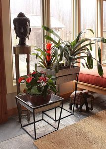 Jardinières intérieures/extérieures en métal galvanisé carré sur supports - Product Image 2