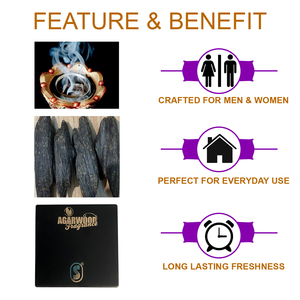 กูดพม่าคุณภาพระดับพรีเมี่ยมมีอยู่ในสต็อกของเรา - Product Image 5