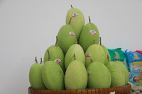 Premium kwaliteit verse gele Kesar mango 100% fruit van topkwaliteit 10kg Dong Thap oorsprong Sunrise Ins 0084 989 322 607 90 dagen houdbaarheid