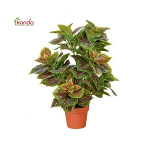 Cây Cỏ Nhân Tạo Trang Trí Cây Cỏ Nhân Tạo Và Cây Nhựa Trong Nhà Chống Nước 45-240CM 20 "Thùng 30% T/T 35 Ngày - Product Image 4