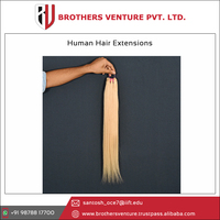 Ekstensi rambut manusia rambut mentah India transaksi panas pada 100% rambut Virgin Remy bebas kusut rambut pirang India diterima dengan harga pasar rendah