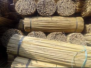 Venta caliente 2020 natural de bambú Polo-recto palo de bambú para decoración gader-Palo de bambú apoyo jardín WS0084587176063 - Product Image 3