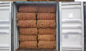 Alto suministro de fibra de coco Premium de Vietnam para hilado de hormigón y uso de alfombras - Product Image 3