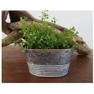 Bac ovales de jardin en métal peint, pot de fleurs de haute qualité, pour la maison et le balcon, 1 pièce - Product Image 4