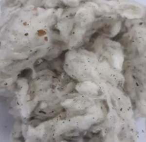COTON DROPPING, COTON WASTE, COTON LICKERIN A et B GRADE-Mme Claire - Product Image 5