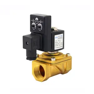 2W NC Normally Closed 250 25 Digital Timer Solenoid Valve for Water