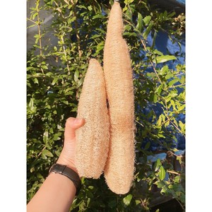 ฟองน้ำใยบวบธรรมชาติสไตล์เวียดนาม-ยามิ - Product Image 1