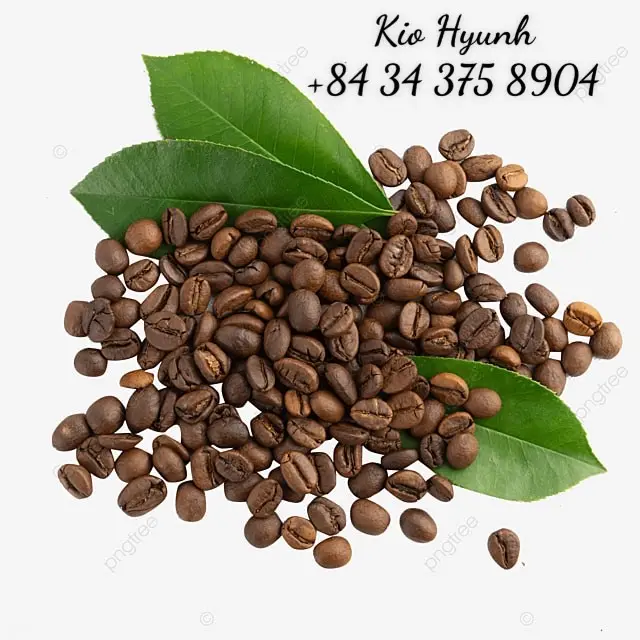 Caffe VIETNAM arrostito commercio equo chicchi di caffè verde-signora KIO HYUNH + 84 34 375 8904