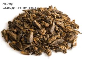 Grillo de frozen seco de alta proteína, 100% orgánico, MS May + 84 904183651 - Product Image 3