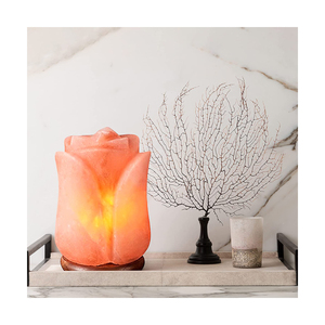 Lampes de sel rouge artisanales écologiques en forme de fleur, de qualité himalayenne, biologiques et naturelles, fabriquées au Pakistan, prix compétitif, fabricant - Product Image 2