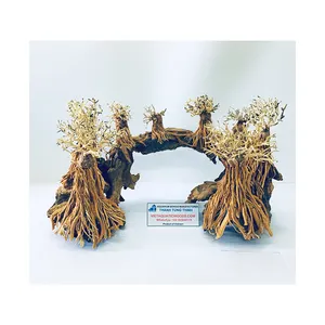 Vietnam'da akvaryum dekorasyon için büyük Driftwood Bonsai ağacı akvaryum driftwood WhatsApp: + 84 961005832