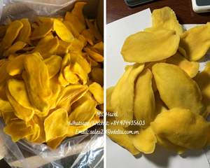 Tranches de fruits de la manga séchées, 100% pièces, transformation de séchage, tranches de fruits à la mode, avec qualité Standard/Ms Ladagel — breloque (84) 974435603 - Product Image 4