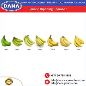 Ethiopia Bảo hành chất lượng buồng Ethylene chuối chín phòng cho nhà hàng khách sạn & Bán Lẻ-Bảo hành 1 năm mới - Product Image 3