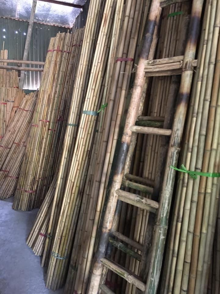 Natural Color Bamboo