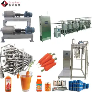 Professional Supplier for Multifunctional Carrot and Tomato and Apple Pulp and Juice and Concentrate Production Line Price