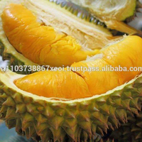 Verse Durian Fruit-Vietnamese Verse Durian Speciale Fruit/Smakelijke/Unieke Smaak