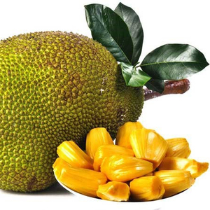 Proveedor de Jaca IQF/mejor precio Frozen jackfruit whole IQF jackfruit beneficios de VIETNAM - Product Image 1