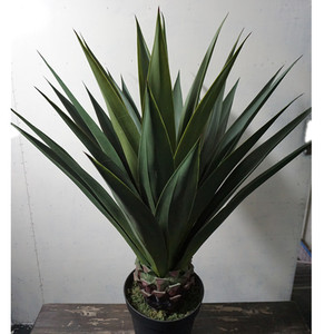 Precio de fábrica Planta de <span class=keywords><strong>agave</strong></span> artificial ornamental Decoración de arte minimalista de plástico para oficina u hotel para diseño de interiores - Product Image 2