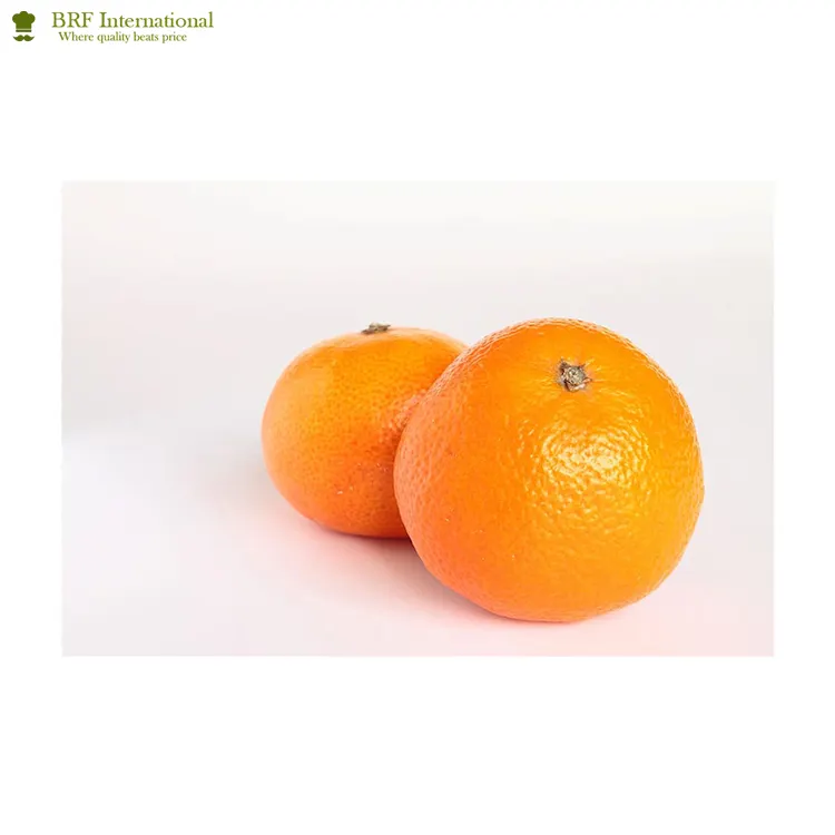 Low Price Wholesale 100% Natural Sweet Taste Farm Fresh Mandarin Orange