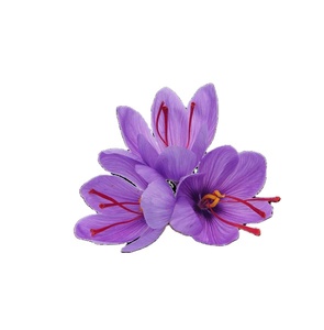 Chất lượng tốt nhất mongra nghệ tây tươi kashmiri xuất khẩu chất lượng cao thảo mộc chiết xuất hoa khô nguyên gia vị toàn bộ thái lát tối ưu khô - Product Image 1