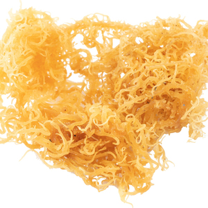 Mejor venta vietnamita nueva cosecha de vegetales secos copos Seamoss al por mayor Seamoss secos/Serena - Product Image 1