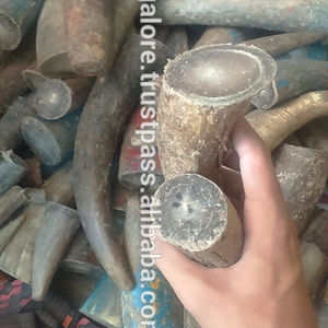 Puntas de Cuerno de Búfalo/Vaca Personalizadas al por Mayor - Material Orgánico Tallado con Tacto Real de Animal para Decoración del Hogar y Regalos Empresariales |   Artesanías - Product Image 4