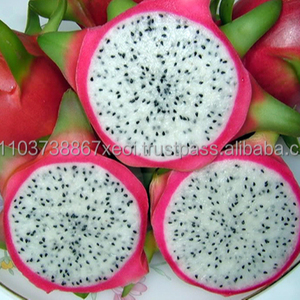 Gbs-dragon fruit Viet, collection 2018 totale, court/Ms, vacances - Product Image 1