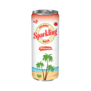 Fournisseur vente en gros chaude 330ml peut mousseux noix de coco eau pastèque Saveur-OEM Beverage Company Prix - Product Image 1