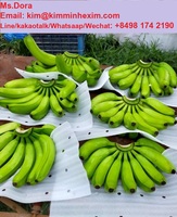 De Premium Verse Banaan Canvendish Van Viet Nam Voor Verkoop/Hot Selling 2022 Verse Banaan Cavendish