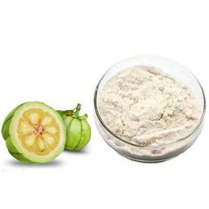 Vente en gros d'extrait de Garcinia Cambogia 60% poudre d'acide hydroxycitrique poudre d'extrait de Garcinia Cambogia de Chine - Product Image 2